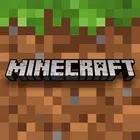 Minecraft (Patch)