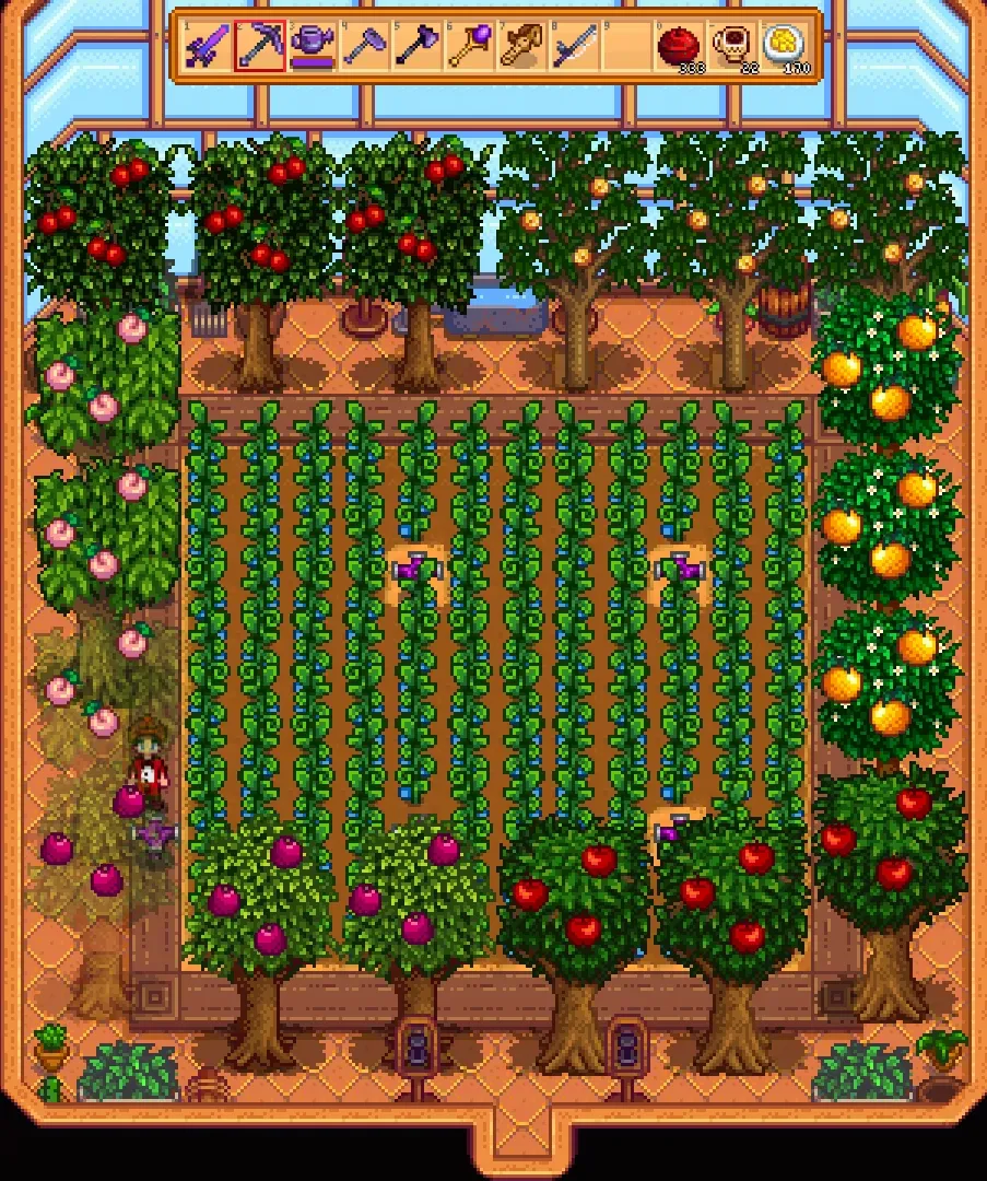 best greenhouse layout 