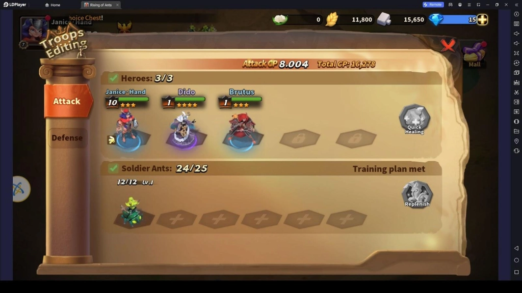 Setting Up Your Troop