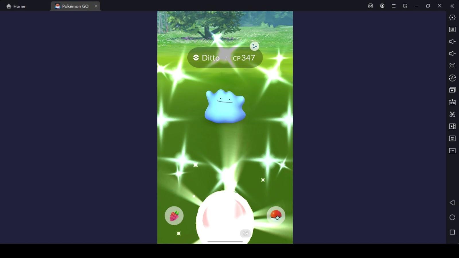 How Can You Have this Shiny Pokémon Go Ditto