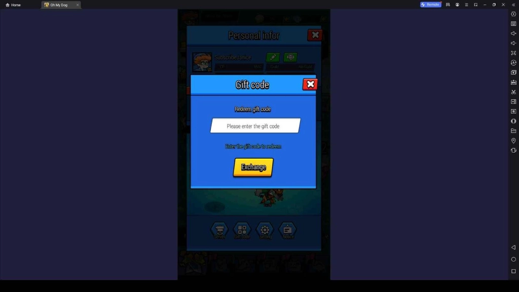 Process of Redeeming the Codes in Oh My Dog