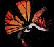 All Creatures in Creatures of Sonaria – Creatures Tier ListNovember 2023