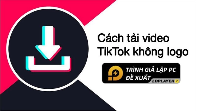 『HƯỚNG DẪN』Cách tải video tiktok về điện thoại không logo dễ dàng với Snaptik
