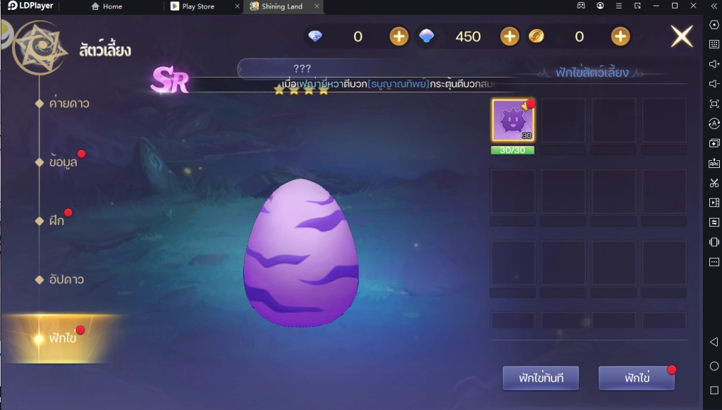 Shining Land : สัตว์เลี้ยงช่วยรบ เกมมือถือแนว MMORPG ตัวละครสุดน่ารัก