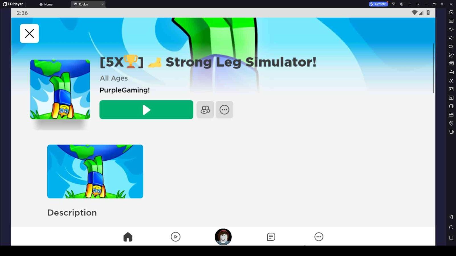 Strong Leg Simulator Codes