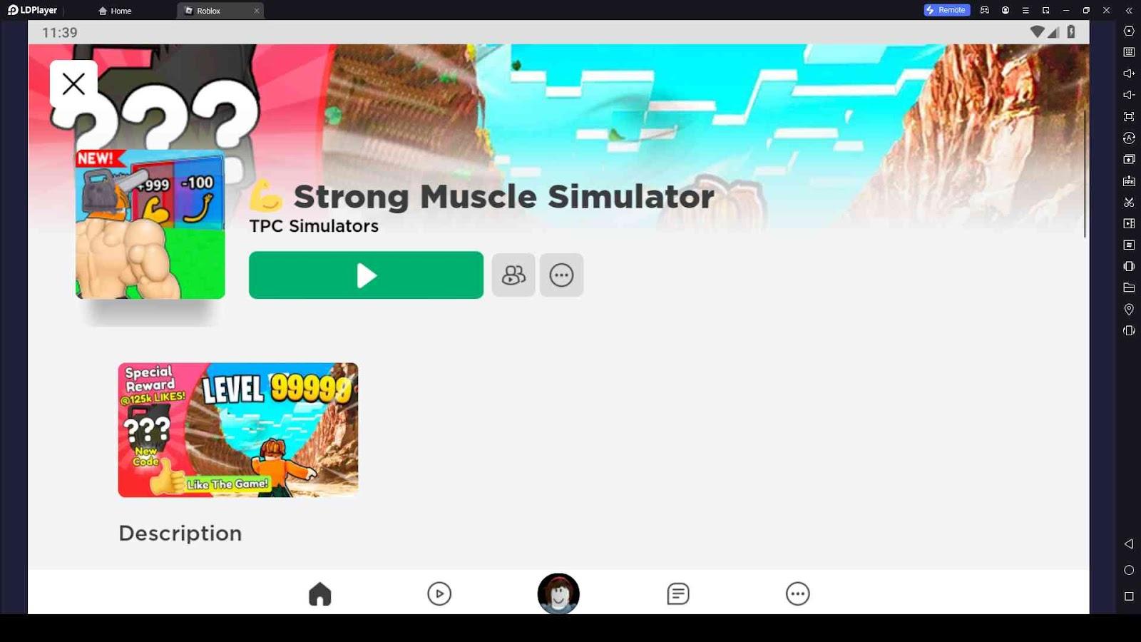Strong Muscle Simulator codes