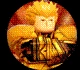 Roblox Anime Dimensions Tier List to Find the Best Characters -November 2023
