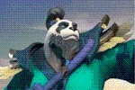 AutoChess MOBA Tier List for the Best Heroes –November 2023