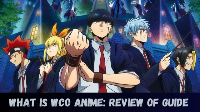 What is WCO Anime: Review of Guide with Best Alternatives to Watch Cartoons Online