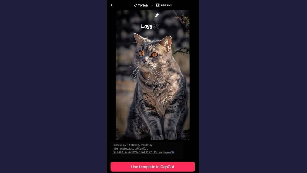 The Best CapCut Template for Videography – Trending 15 in 2023