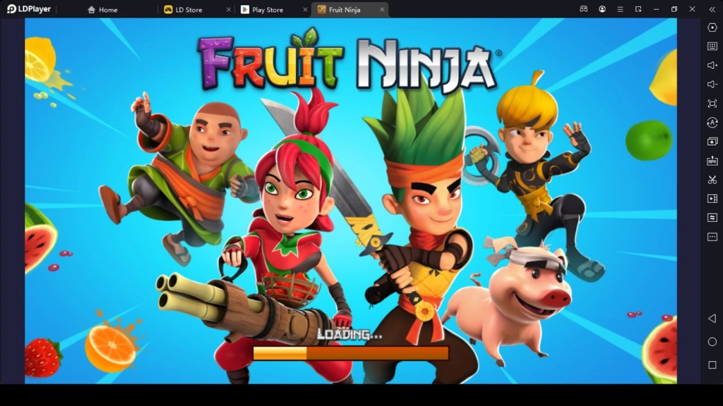 Fruit Ninja Fruit Ninja