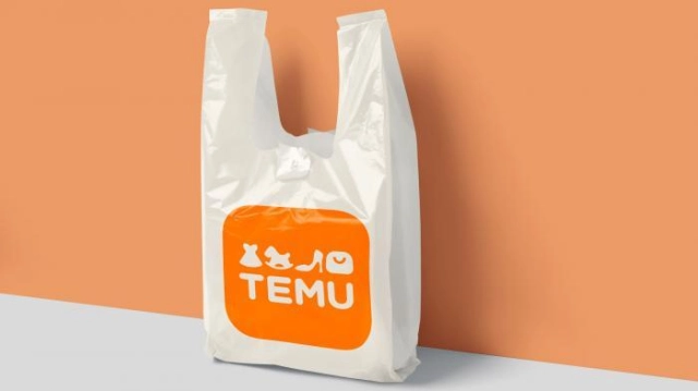Temu: Mehr über diese neue Kaufplatform informieren
