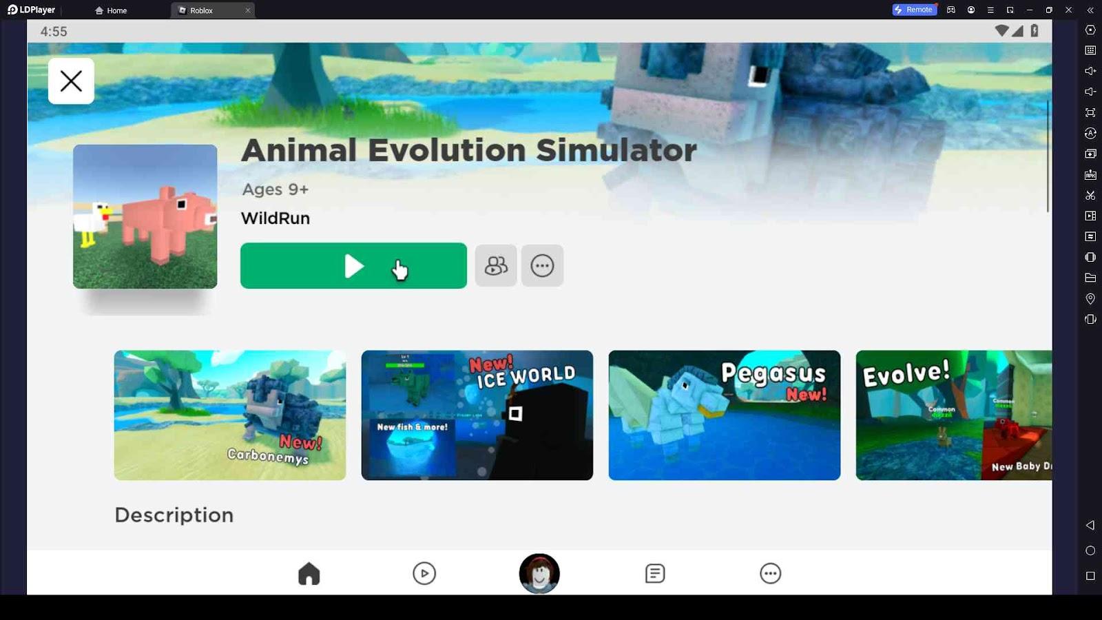 Animal Evolution Simulator codes