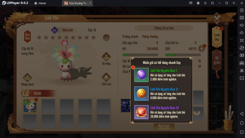 『HƯỚNG DẪN』Cửu Dương Truyền Kỳ 2: Hướng Dẫn Tân Thủ Cách Chơi Chuẩn Giai Đoạn Đầu Game