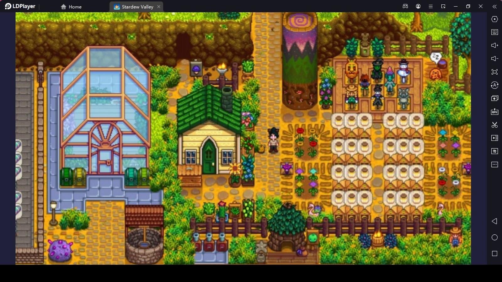 Bee Lovers’ Layout