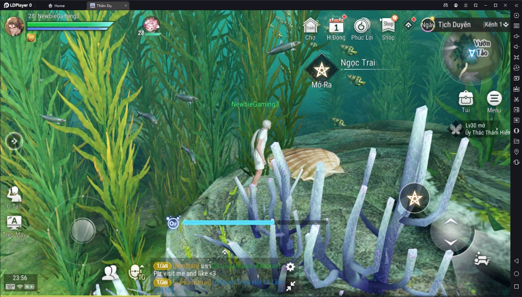 『HƯỚNG DẪN』Revelation - Thiên Dụ VNG: Vị Trí Rương Báu & Ngọc Trai Biển Tịch Duyên Phần 2.