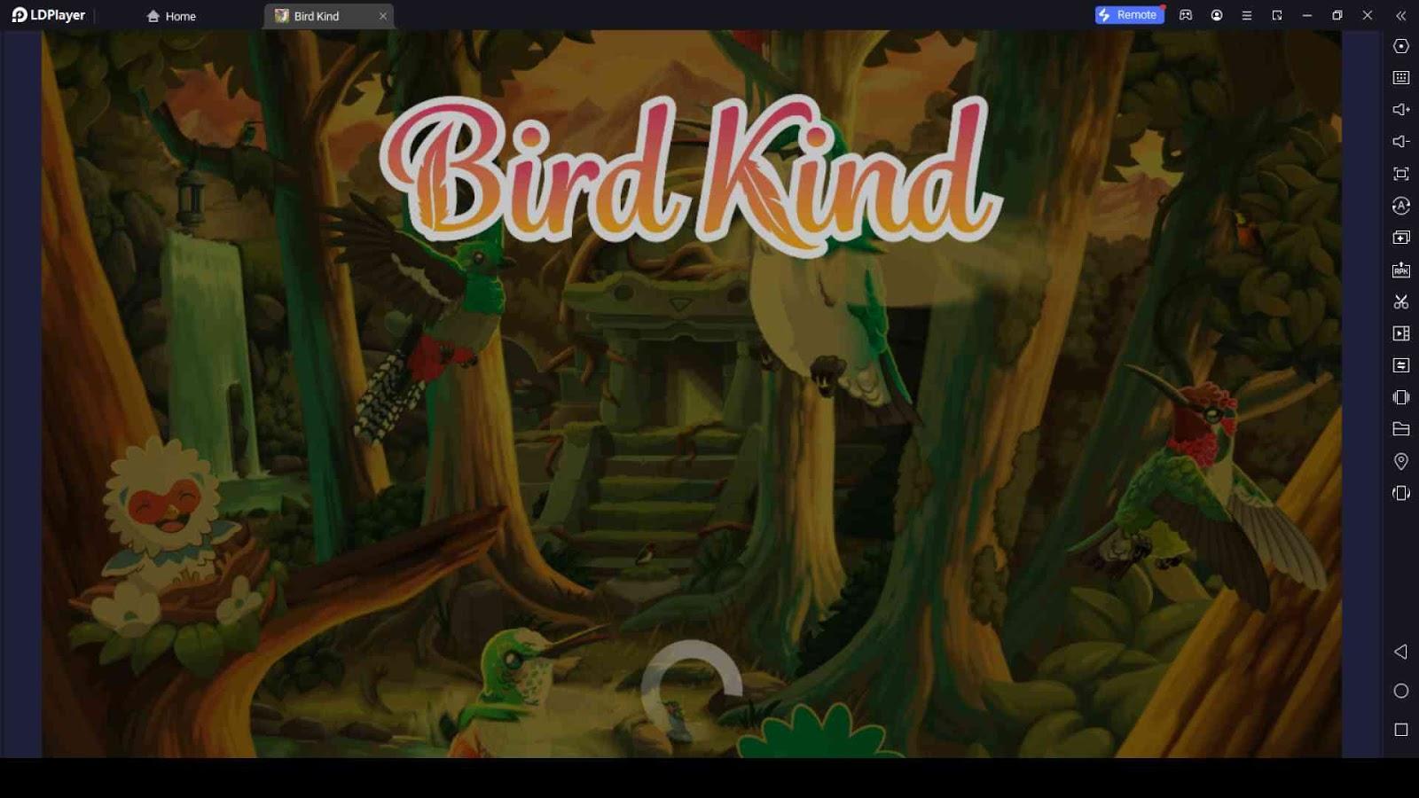 Bird Kind Beginner Guide