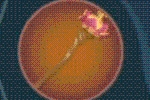 Ezetta Prophecy Weapon Guide for Full Potentials