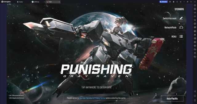Actualización de Punishing: Gray Raven